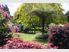 Welcome to the Secret Garden