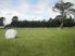 Just over Ten 'Greenacres'