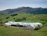 359 Slopehill Road, Queenstown