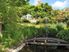 LOVE YOUR GARDEN? THIS ONE'S FOR YOU!