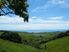 4.1400 hectares bareland