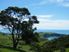 4.1400 hectares bareland