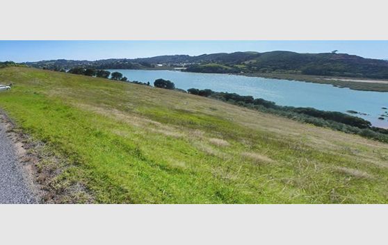 Te Whau Lifestyle Acreage