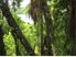 LAKE OKAREKA SECTION