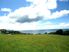 Sea the views!