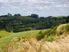 2 TE PUNA BARE LOTS WITH VIEWS