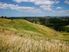 2 TE PUNA BARE LOTS WITH VIEWS