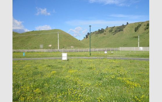 Sponge Bay Section