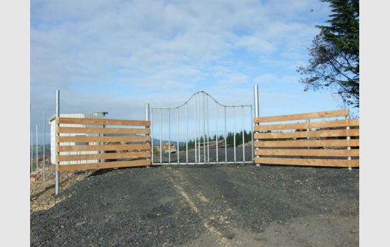 Forestry Block On City Doorstep