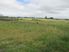 SECTION IN PREMIER SUBDIVISION