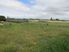 SECTION IN PREMIER SUBDIVISION