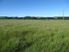 Retire In The Country