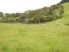 Waipu Farmland with Flats - The Perfect Run-Off $649k +gst