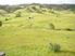 Waipu Farmland with Flats - The Perfect Run-Off $649k +gst