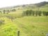 Waipu Farmland with Flats - The Perfect Run-Off $649k +gst