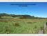 Sandhills Road, Medlands - THE place to be on Great Barrier Island