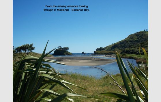 Sandhills Road, Medlands - THE place to be on Great Barrier Island