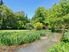 'Racecourse Hill' - Spectacular Parklike Grounds!