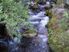 Nature - Big Bach