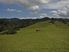 Leigh Road, Matakana