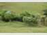 Enjoy Country Living Close to Town