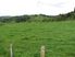 Dairy Grazing/Support/Horticulture/Lifestyle