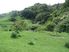 Dairy Grazing/Support/Horticulture/Lifestyle