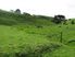 Dairy Grazing/Support/Horticulture/Lifestyle