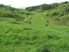 Dairy Grazing/Support/Horticulture/Lifestyle