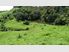 Dairy Grazing/Support/Horticulture/Lifestyle
