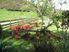 First Farm or Family Lifestyle
