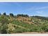 Captivating and Sought-After ParkView