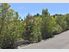 Captivating and Sought-After ParkView
