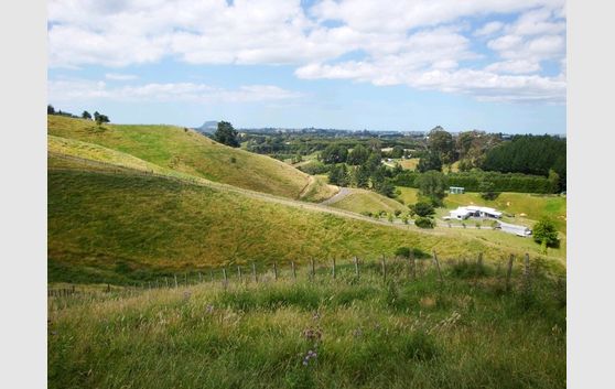TE PUNA BARE LAND WITH AWESOME VIEWS - 2 LOTS AVAILABLE