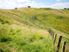 TE PUNA BARE LAND WITH AWESOME VIEWS - 2 LOTS AVAILABLE
