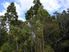 Stunning Rural Views, Affordable Bush Section