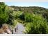 Huntaway Lodge, Bay of Islands