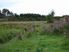 Lifestyle / Forestry Escape