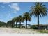 Management Rights Business for Sale in Sunny Whitianga, NZ