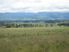 Welcome to the views