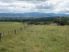 Welcome to the views