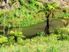 FLATS, HILL AND STREAM - 15 HA