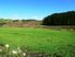 FLATS, HILL AND STREAM - 15 HA