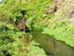 FLATS, HILL AND STREAM - 15 HA