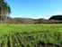 FLATS, HILL AND STREAM - 15 HA