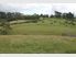 40 Acre Lifestyle