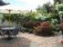 HAVELOCK NORTH // 32 Chambers Street