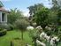 HAVELOCK NORTH // 32 Chambers Street