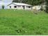 RURAL VIEWS