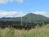 Waikino Lifestyler